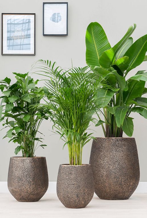 Baq luxe plantenbakken goud