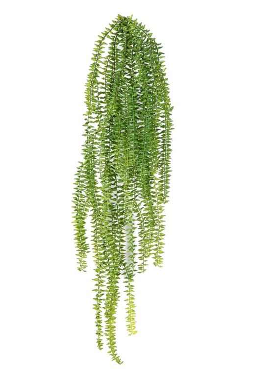 Fern tassel