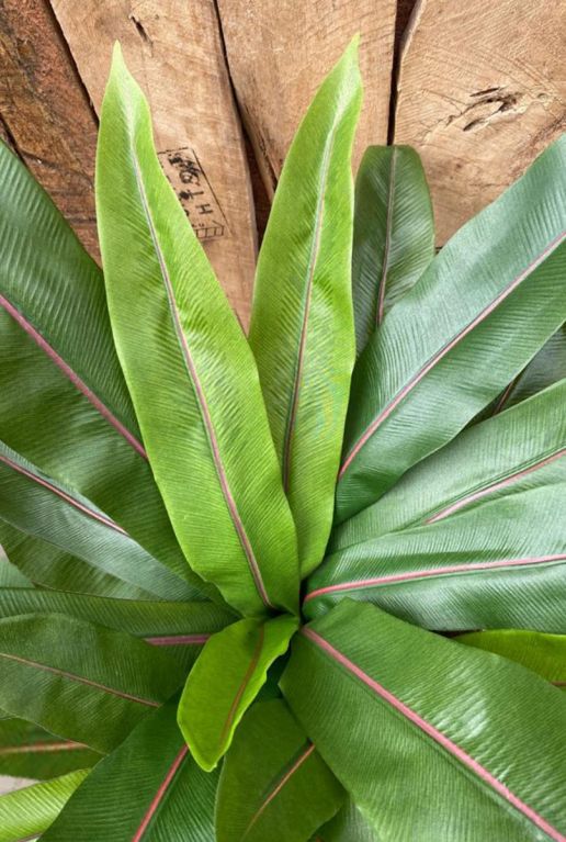 Kunstplant asplenium fern