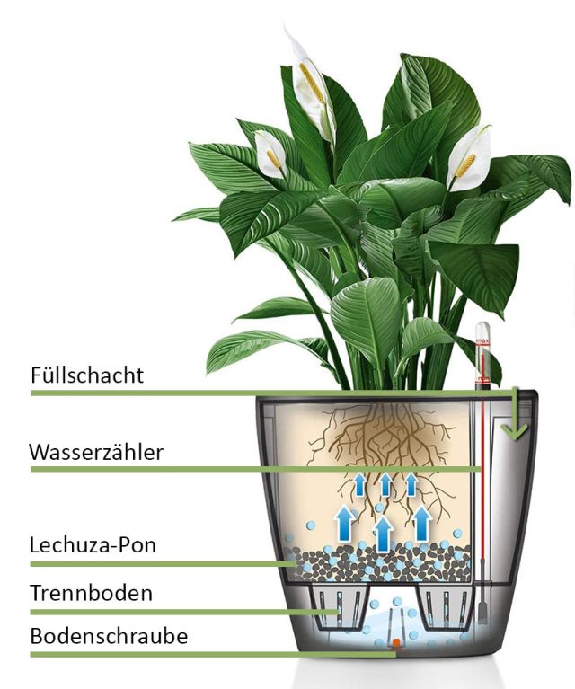 Lechuza classico wassersystem Erklärung