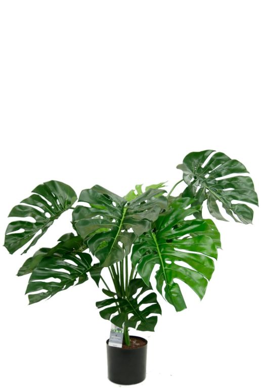 Monstera gatenplant kunstplant