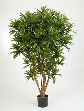 Dracaena reflexa jamaica kunstplant