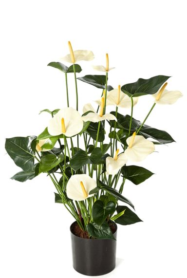 Anthurium kunstplant