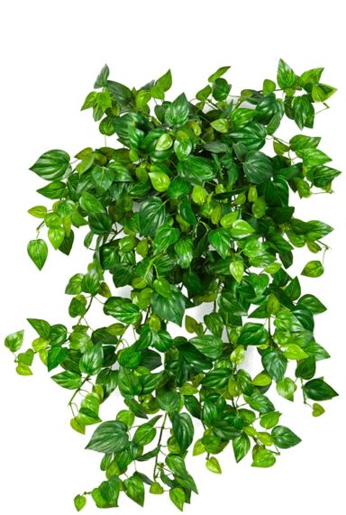 Philodendron hangplant kunstplant