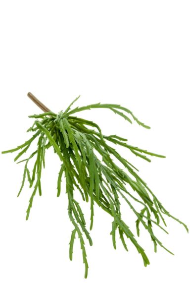 Rhipsalis kunstplant