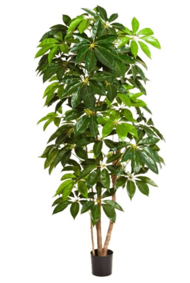 Schefflera amate kunstplant