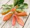 Alocasia Branchifolia Pink Passion blad